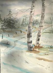 Bouleaux_du_Nord