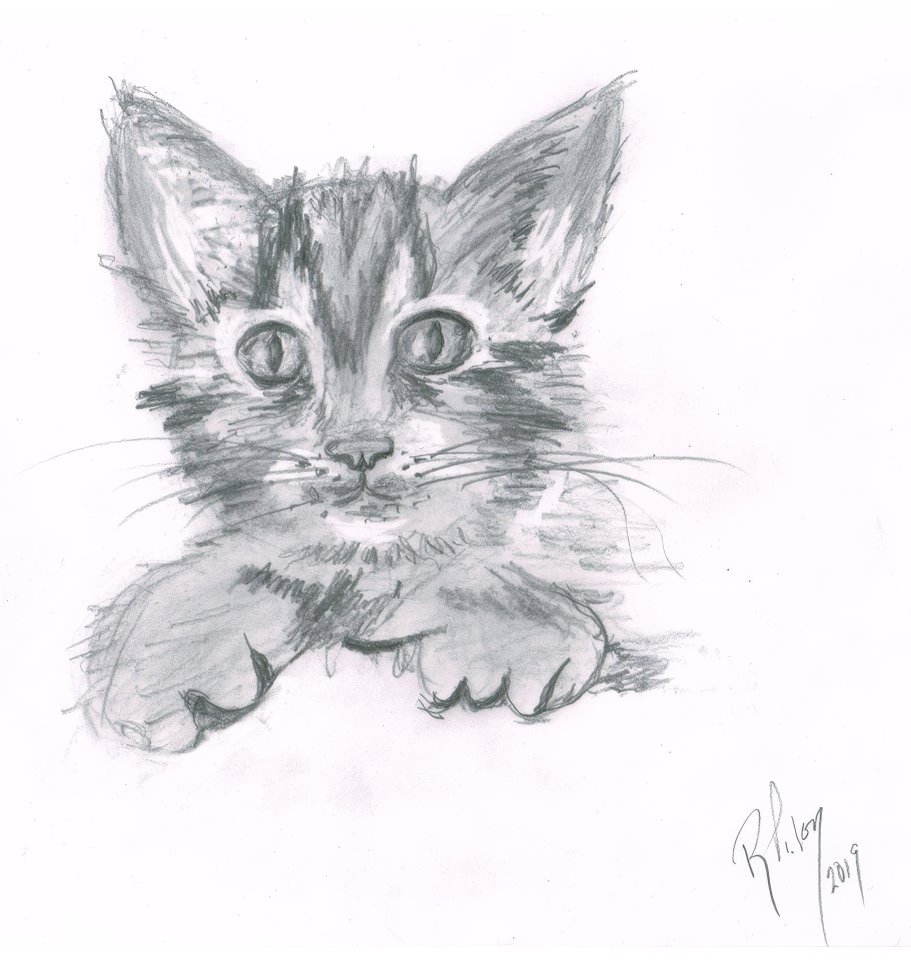 chat