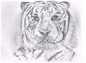 Croquis - Sketches